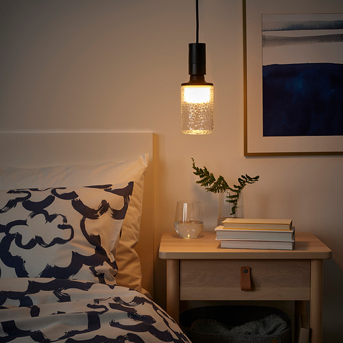 MOLNART/SUNNEBY pendant lamp with light bulb