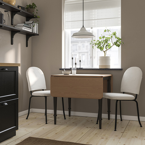 DANDERYD/EBBALYCKE table and 2 chairs
