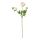 SMYCKA - artificial flower, Ranunculus/white | IKEA Hong Kong and Macau - PE699253_S1