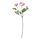 SMYCKA - artificial flower, Ranunculus/pink | IKEA Hong Kong and Macau - PE699256_S1