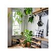 KALLSÖ bench with shoe storage