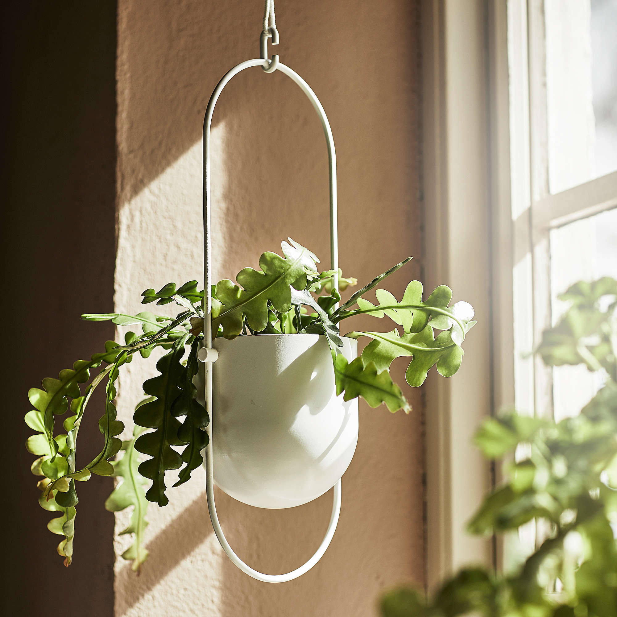 Chilistran 掛式花盆架 室內 戶外用白色 Ikea 香港及澳門