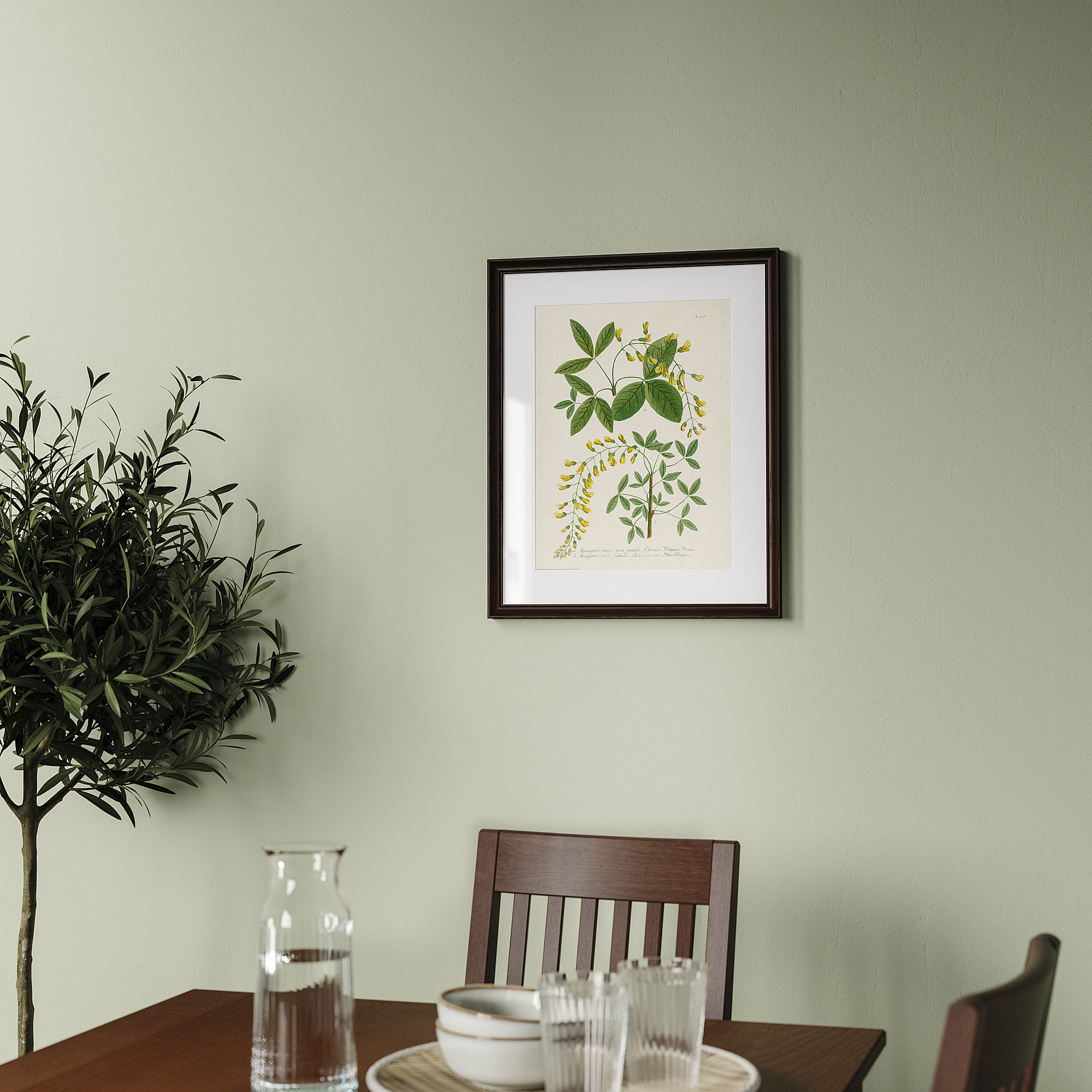 KLOTKÖRSBÄR frame