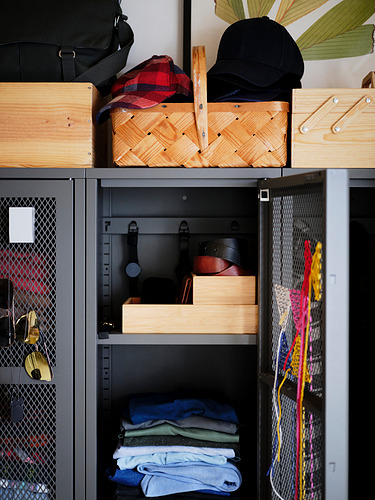 IVAR cabinet with door