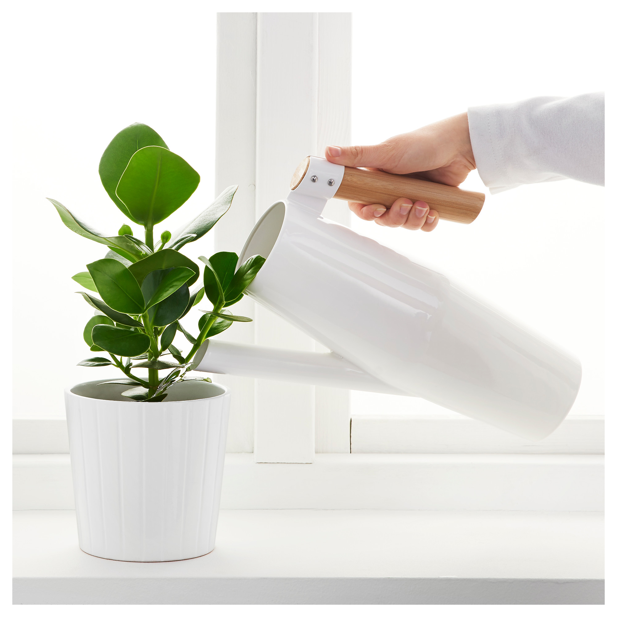 Bittergurka Watering Can White Ikea Hong Kong