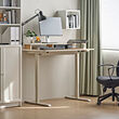 MARKUS/TRAVSPORT desk and chair