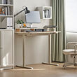 TRAVSPORT/MILLBERGET desk and chair