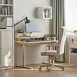 TRAVSPORT/MILLBERGET desk and chair