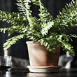 MUSKOTBLOMMA plant pot with saucer