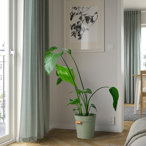 SOCKER 桶 / 花盆