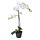 FEJKA - 人造盆栽, 蝴蝶蘭 白色 | IKEA 香港及澳門 - PE745269_S1