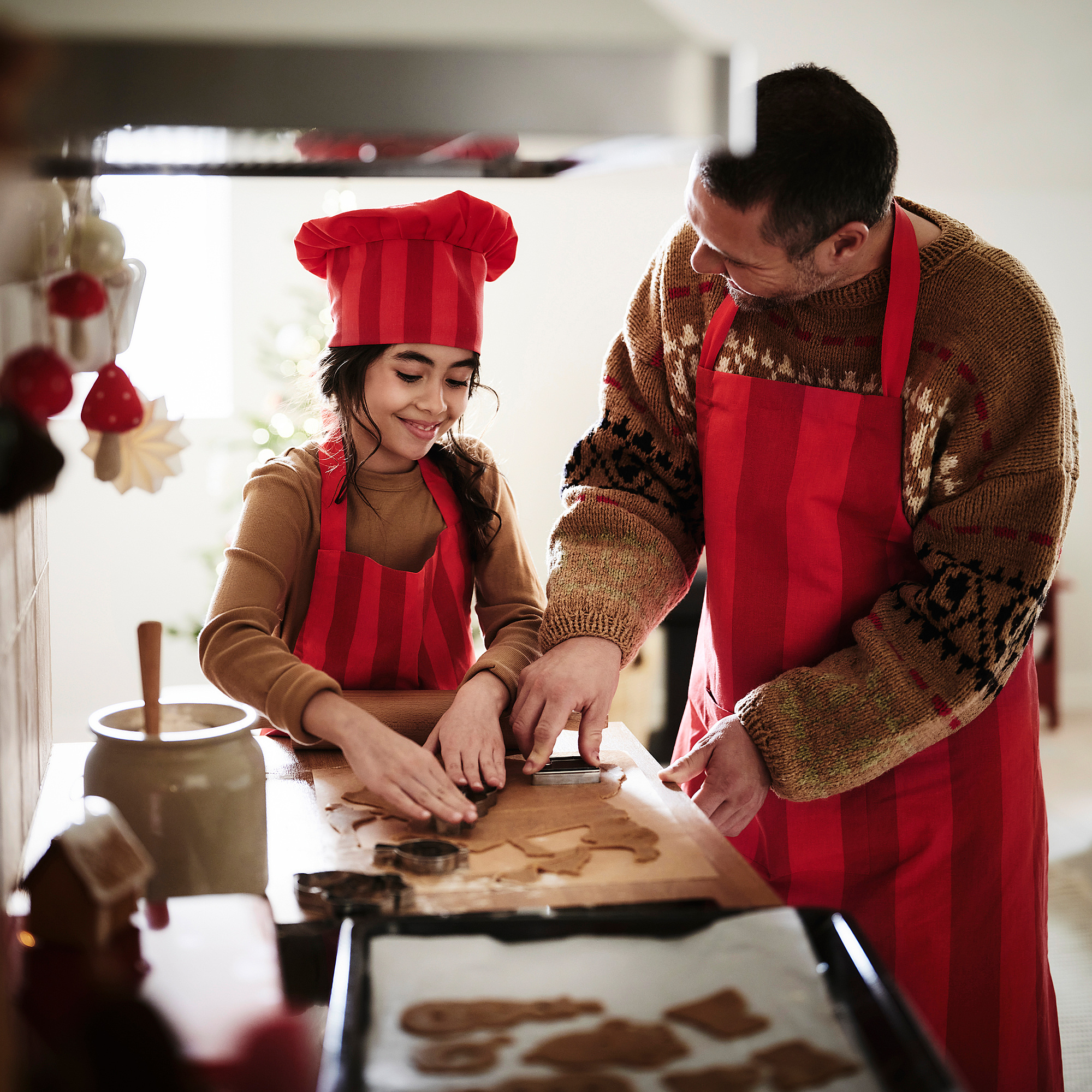 VINTERFINT apron