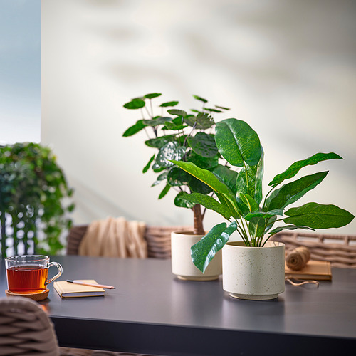 SANDKÖRSBÄR 花盆