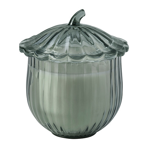SNÖSISKA - scented candle in glass with lid, Cinnamon and warm wood dark grey-green, 40 hr | IKEA Hong Kong and Macau - E1022400_S4
