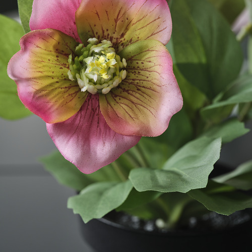 FEJKA artificial potted plant
