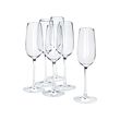 STORSINT champagne glass