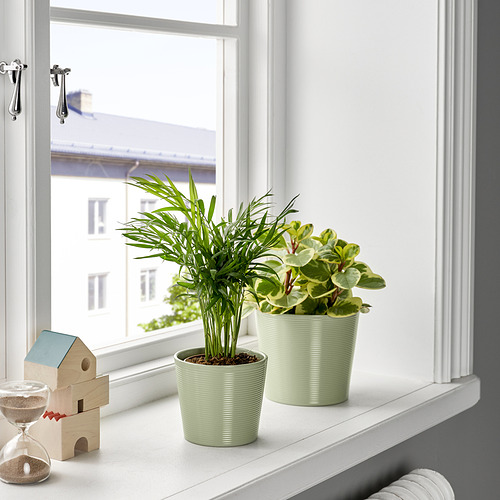 BROKSPIREA plant pot