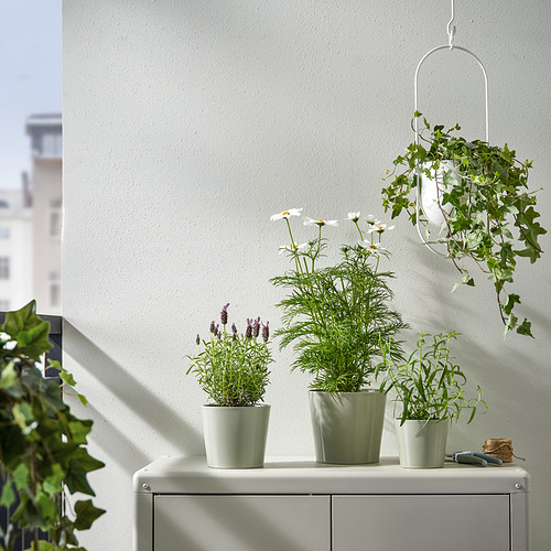 BROKSPIREA plant pot