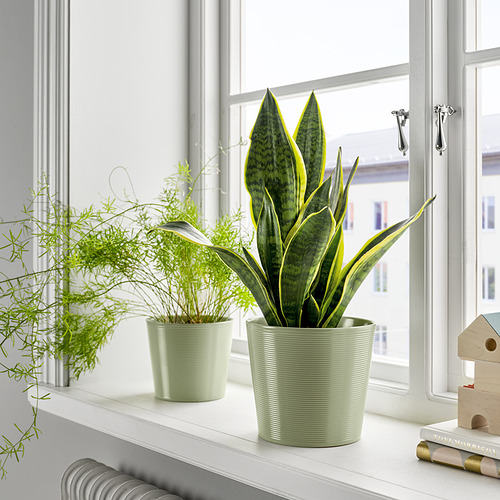 BROKSPIREA plant pot