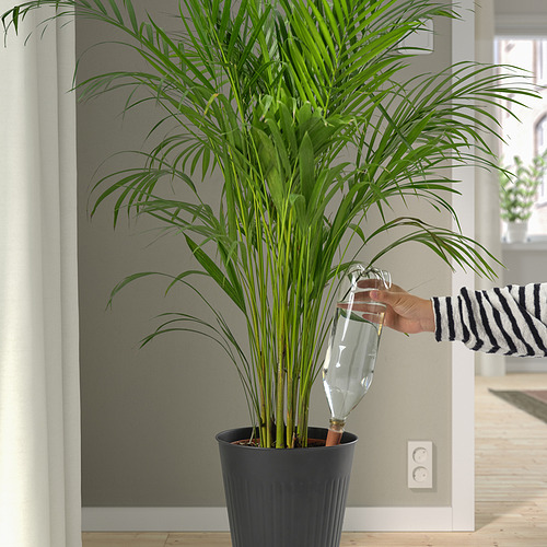 SVÄMSKOG self-watering insert