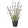 FEJKA - artificial potted plant, in/outdoor/Lavender lilac | IKEA Hong Kong and Macau - PE804164_S1