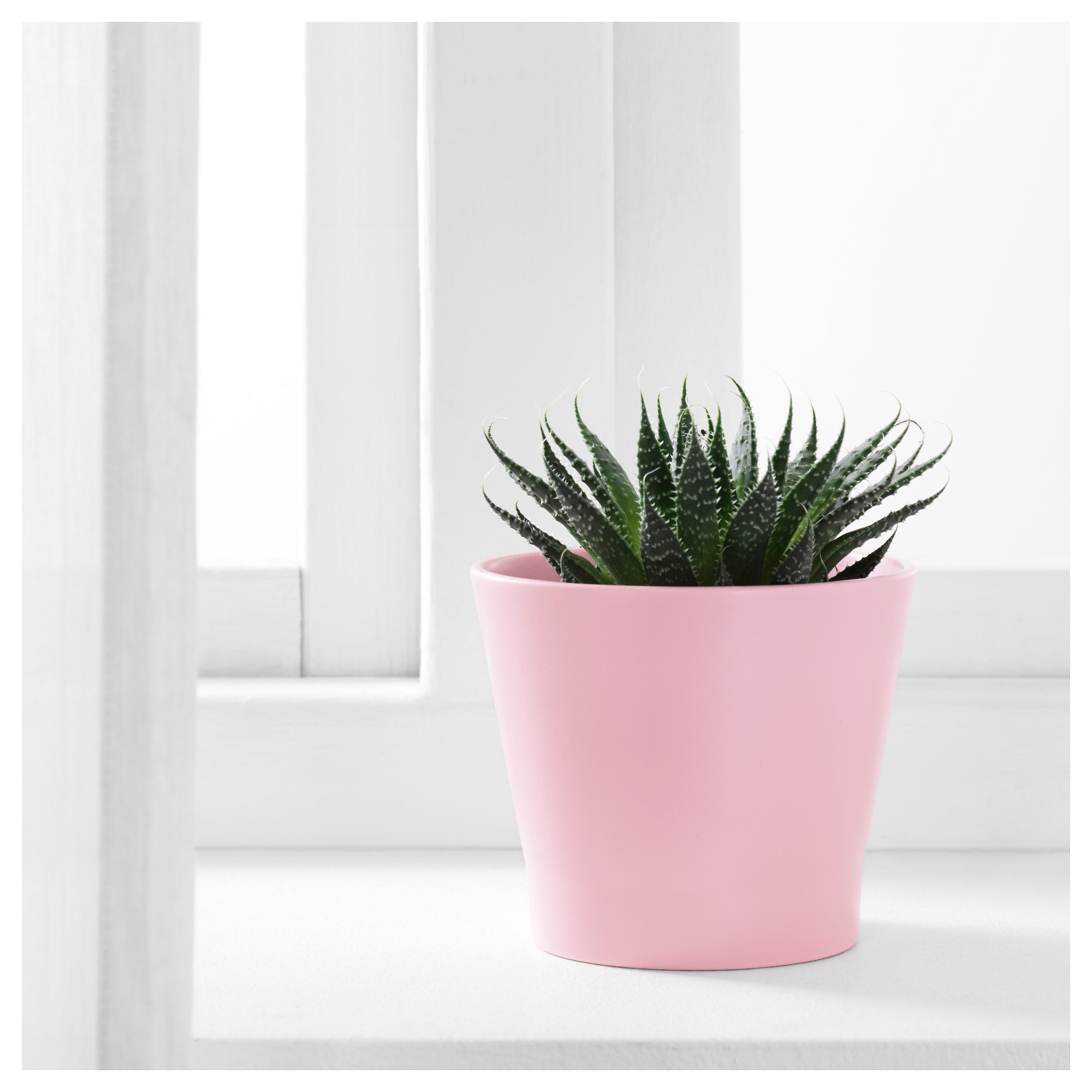 PAPAJA plant pot  light pink IKEA  Hong Kong