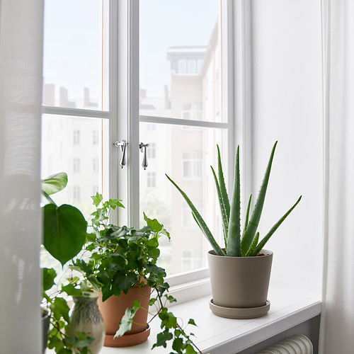 KLARBÄR plant pot with saucer