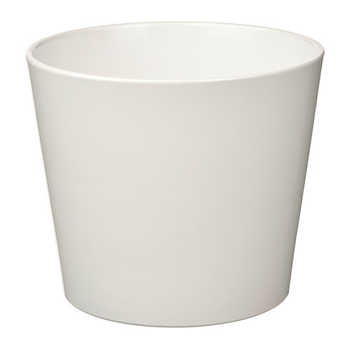 SOJABÖNA plant pot