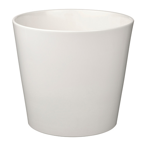 SOJABÖNA plant pot