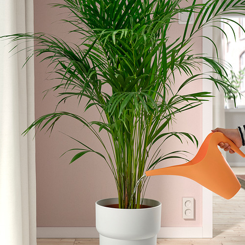 IKEA PS 2002 watering can