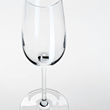 STORSINT champagne glass