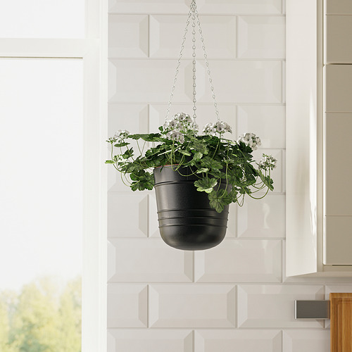 PÄRLRÖNN hanging planter