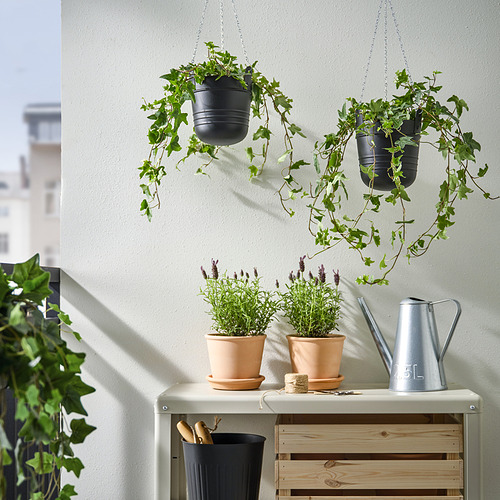 PÄRLRÖNN hanging planter