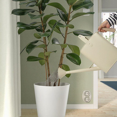 SALLADSKÅL watering can