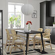SALNÖ/LISABO table and 4 chairs with armrests
