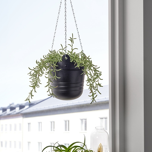 PÄRLRÖNN hanging planter