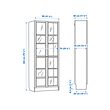 BILLY/OXBERG 玻璃門書櫃