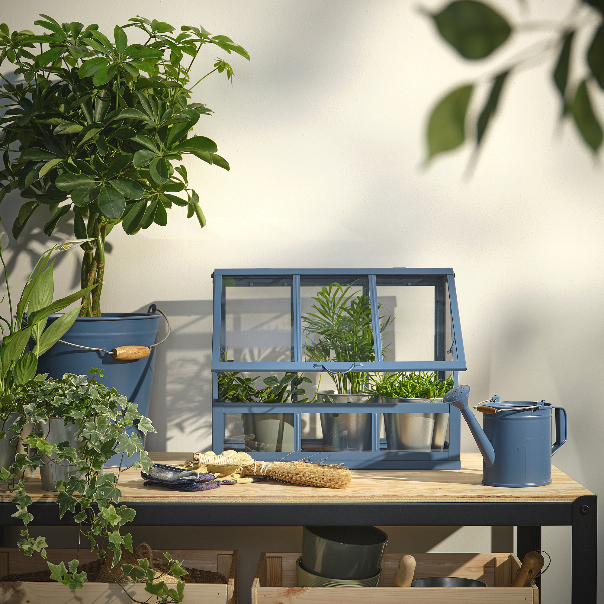 ÅKERBÄR greenhouse