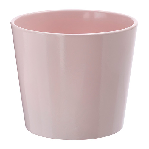SOJABÖNA plant pot
