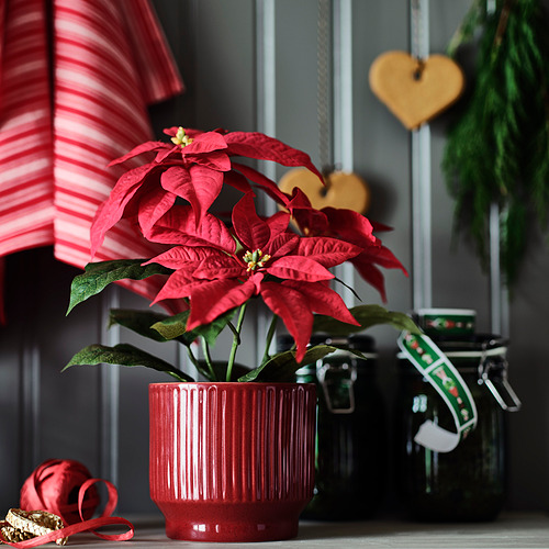 VINTERFINT plant pot