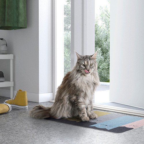 TURISTVÄG door mat, indoor