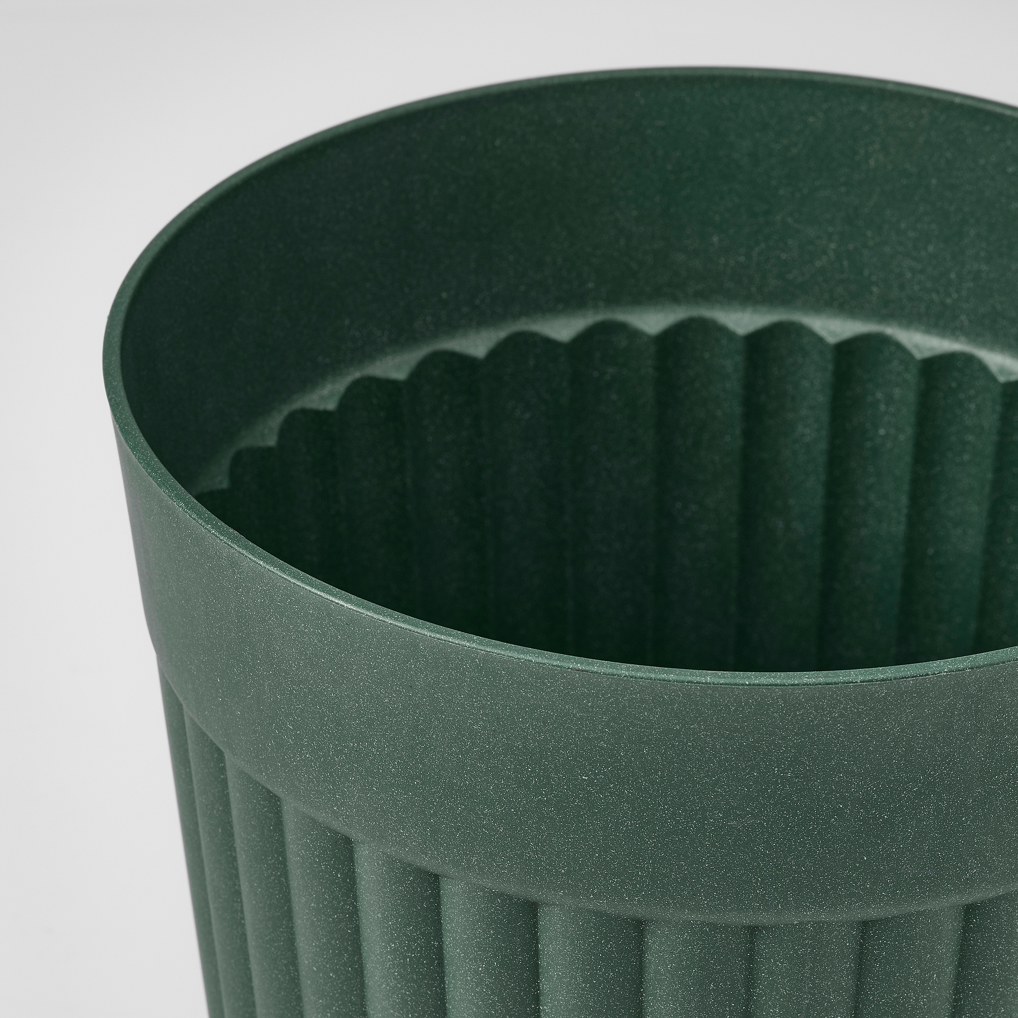 FRÄKENVÄXT plant pot
