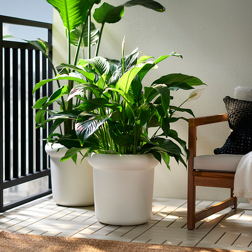 MÅBÄRSBUSKE plant pot