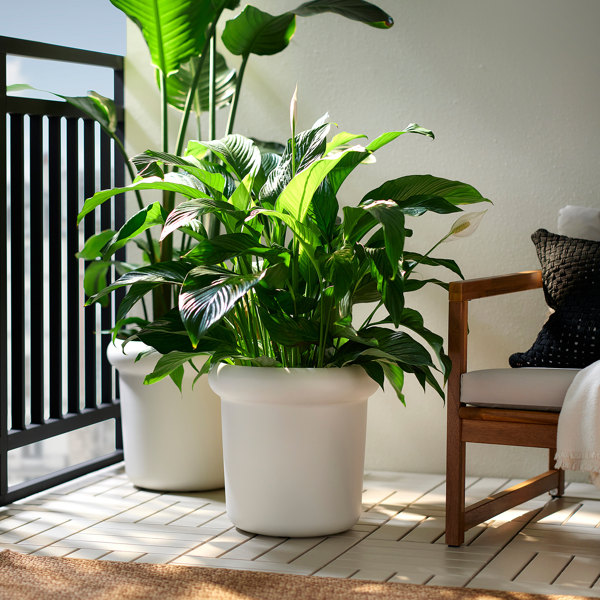 MÅBÄRSBUSKE plant pot