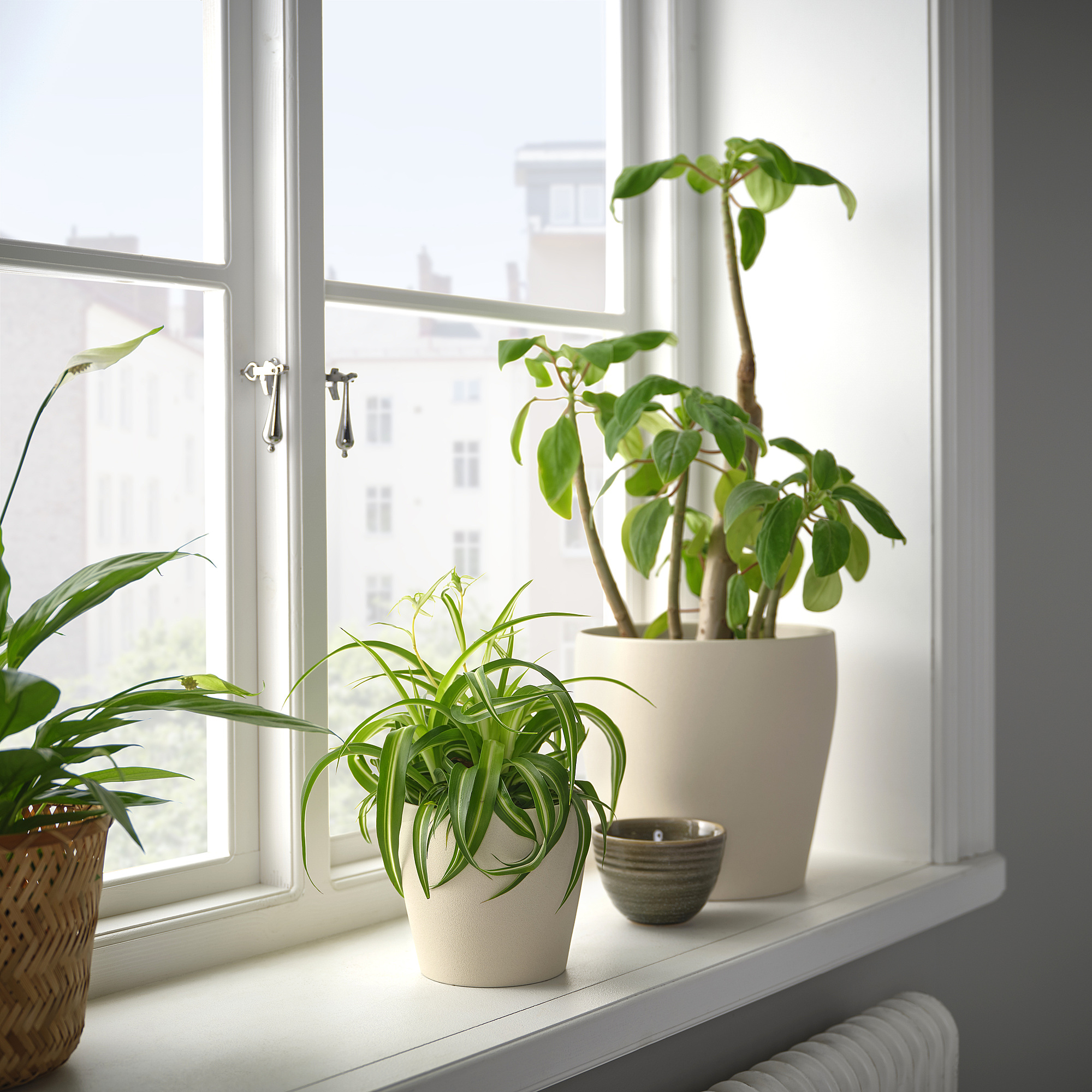 PERSILLADE plant pot