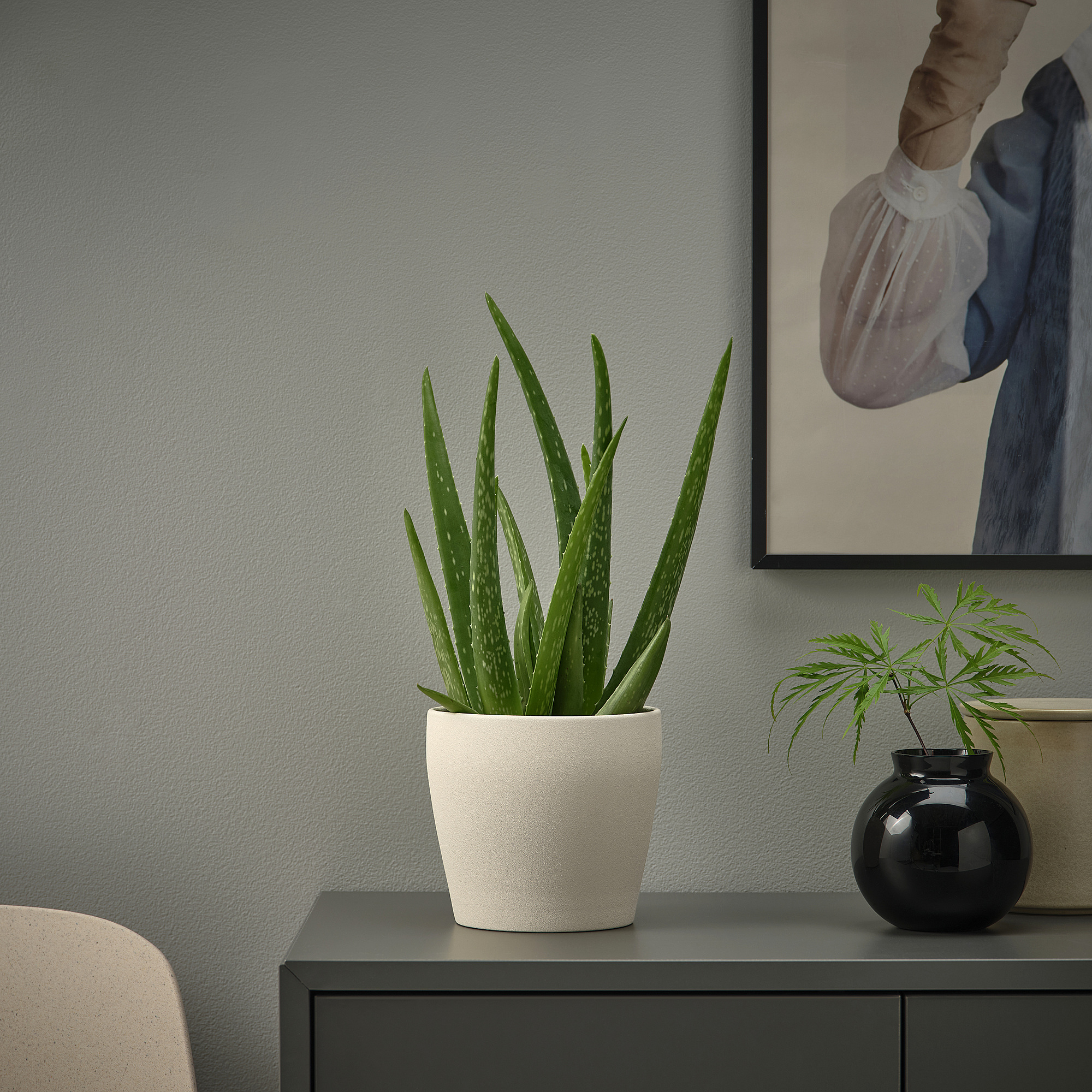 PERSILLADE plant pot