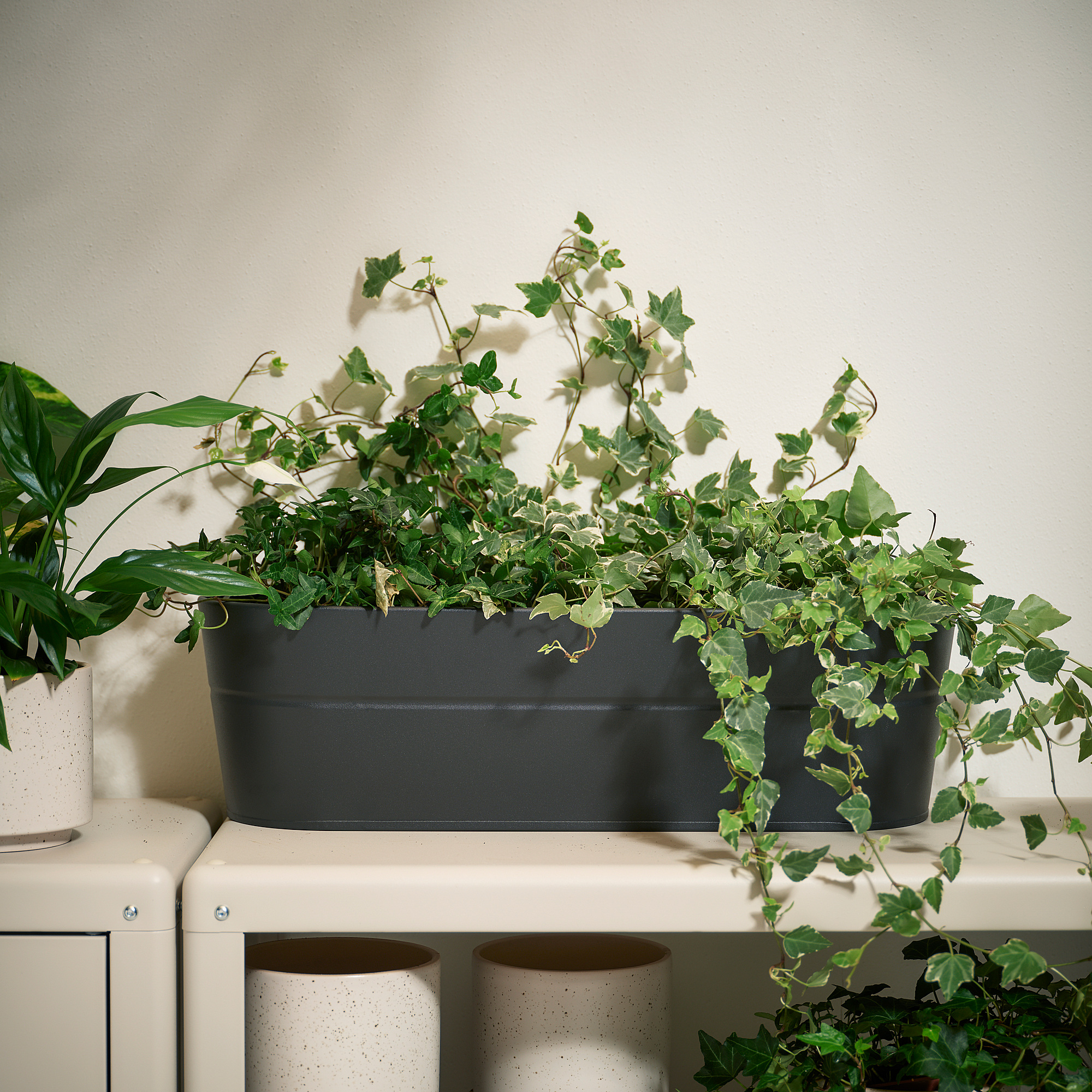 VITLÖK 花盆連支架