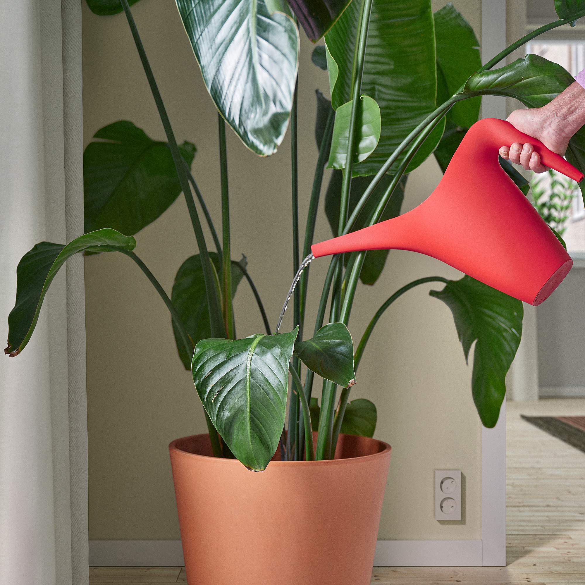 IKEA PS 2002 watering can