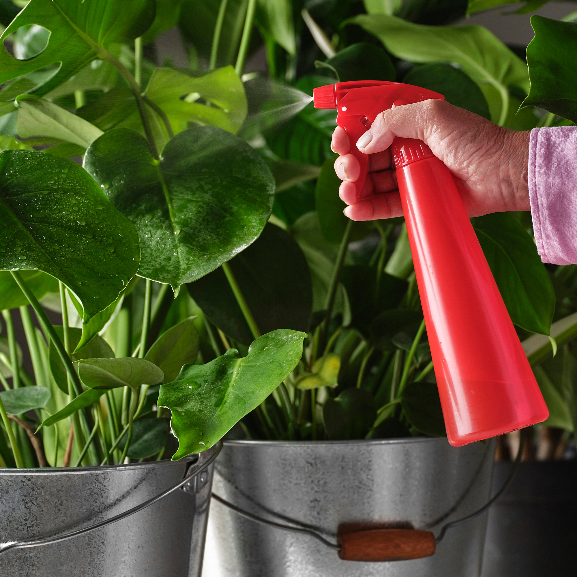 TOMAT spray bottle