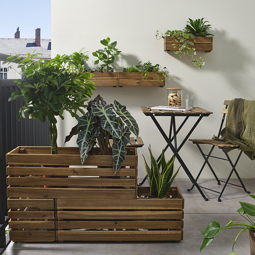 STJÄRNANIS flower box